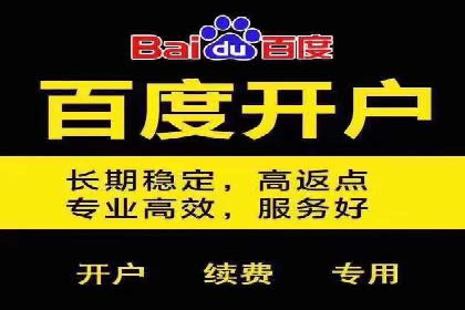百度推广运营实战：成功案例解析